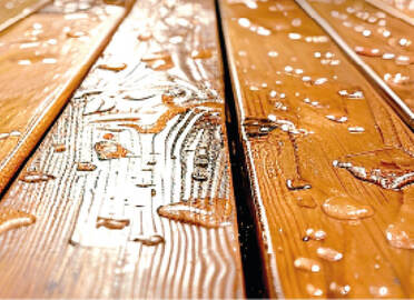 How to protect wood against biological attack?