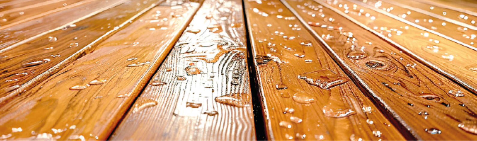 How to protect wood against biological attack?