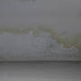 How to deal with/remove mold on walls?